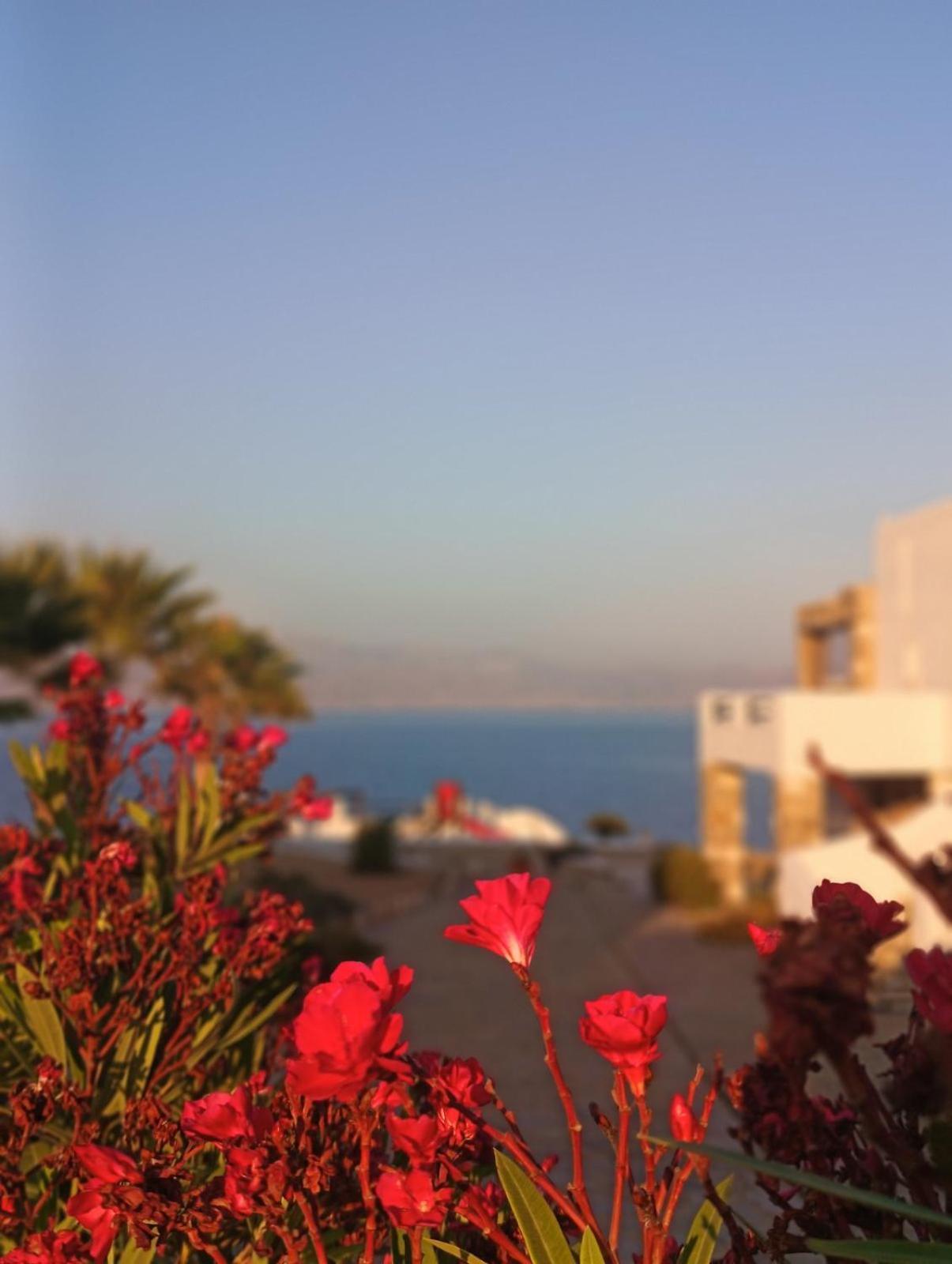 Aura Paros Apartment Logaras Bagian luar foto